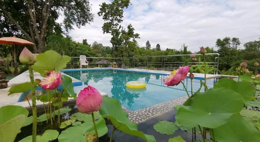 Ban Rai Tin Thai Ngarm Eco Lodge Мае Рим Екстериор снимка