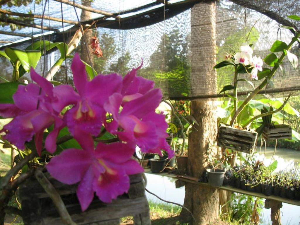 Ban Rai Tin Thai Ngarm Eco Lodge Мае Рим Екстериор снимка